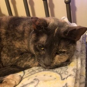 Meet your Posher, Kim sou